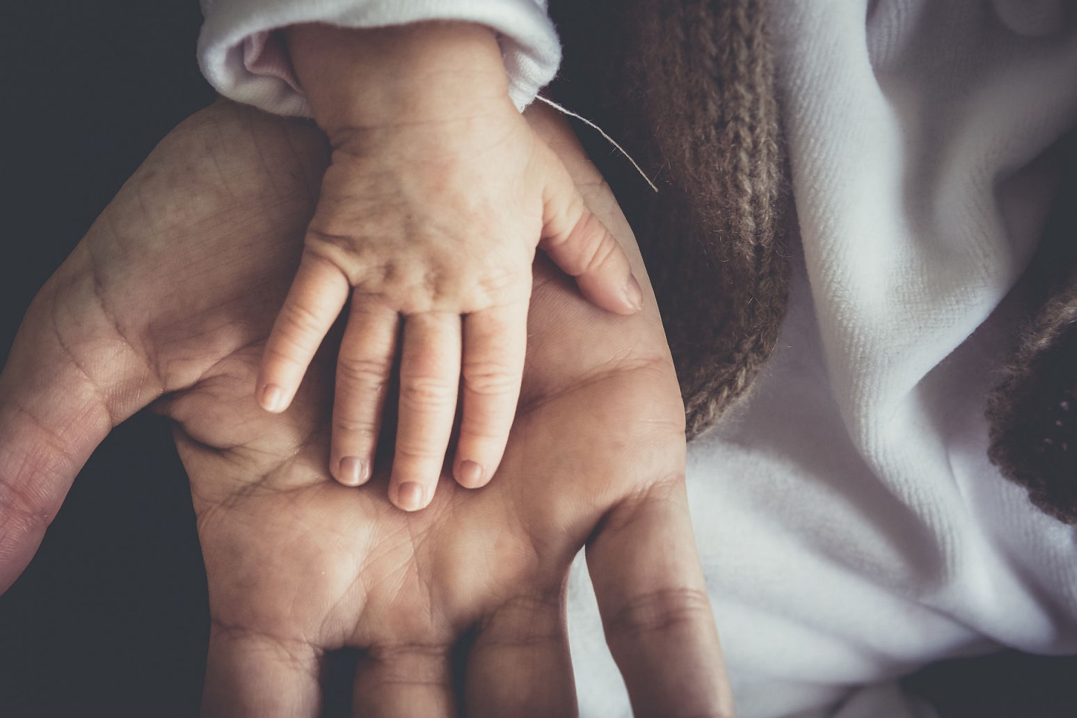 Adult holding a toddler’s hand